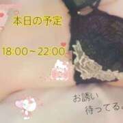 ヒメ日記 2026/02/26 18:31 投稿 いろは ギャルズネットワーク神戸