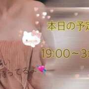 ヒメ日記 2026/03/16 19:16 投稿 いろは ギャルズネットワーク神戸