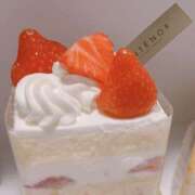 ヒメ日記 2025/11/28 08:56 投稿 いろは クラブバレンタイン神戸西店