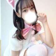 にこり 最終日‼️募集‼️ ワンダーホール24in幕張