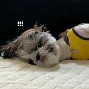 ヒメ日記 2025/12/09 22:32 投稿 じゅりあ ジャパンクラブ富士