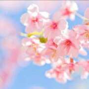 ヒメ日記 2026/04/05 21:42 投稿 樹菜-じゅな- 人妻倶楽部 花椿北上店