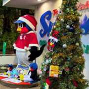 ヒメ日記 2025/12/01 10:00 投稿 わか 上野人妻セレブリティ(ユメオト)