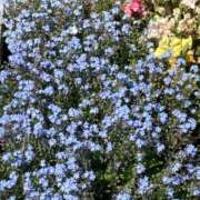 ヒメ日記 2026/04/21 12:42 投稿 ゆいみ Seirenes (セイレネス)