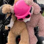 ヒメ日記 2026/04/28 08:32 投稿 ゆいみ Seirenes (セイレネス)