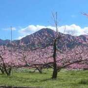 ヒメ日記 2026/04/06 13:02 投稿 香里奈 出会い系人妻ネットワーク錦糸町～小岩編