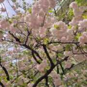 ヒメ日記 2026/04/10 00:42 投稿 香里奈 出会い系人妻ネットワーク錦糸町～小岩編