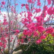 ヒメ日記 2026/04/13 12:24 投稿 香里奈 出会い系人妻ネットワーク錦糸町～小岩編