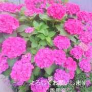 ヒメ日記 2026/06/12 12:37 投稿 香里奈 出会い系人妻ネットワーク錦糸町～小岩編