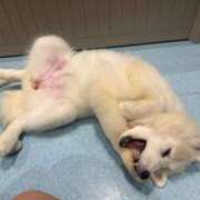 ヒメ日記 2026/01/12 14:01 投稿 もも☆本日体験 JKサークル