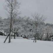 ヒメ日記 2026/02/01 23:45 投稿 もも☆本日体験 JKサークル