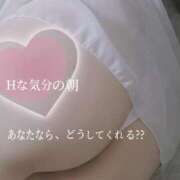 ヒメ日記 2025/11/27 06:29 投稿 あんじゅ 香川高松ちゃんこ