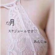 ヒメ日記 2025/11/30 06:59 投稿 あんじゅ 香川高松ちゃんこ