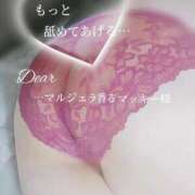 ヒメ日記 2025/12/03 06:09 投稿 あんじゅ 香川高松ちゃんこ