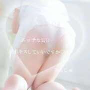 ヒメ日記 2025/12/14 08:29 投稿 あんじゅ 香川高松ちゃんこ