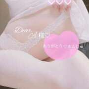 ヒメ日記 2025/12/18 08:19 投稿 あんじゅ 香川高松ちゃんこ