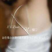 ヒメ日記 2026/01/16 06:16 投稿 あんじゅ 香川高松ちゃんこ