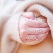 ヒメ日記 2026/01/23 07:29 投稿 あんじゅ 香川高松ちゃんこ