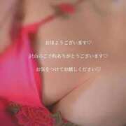 ヒメ日記 2026/01/25 08:59 投稿 あんじゅ 香川高松ちゃんこ