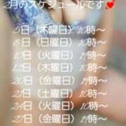 ヒメ日記 2026/01/29 06:39 投稿 あんじゅ 香川高松ちゃんこ