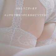 ヒメ日記 2026/02/09 07:29 投稿 あんじゅ 香川高松ちゃんこ