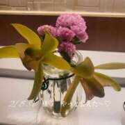 ヒメ日記 2026/02/22 05:49 投稿 あんじゅ 香川高松ちゃんこ