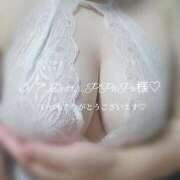 ヒメ日記 2026/03/19 11:11 投稿 あんじゅ 香川高松ちゃんこ