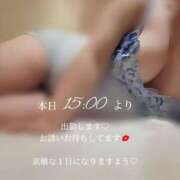 ヒメ日記 2026/03/19 11:38 投稿 あんじゅ 香川高松ちゃんこ