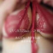 ヒメ日記 2026/04/15 07:39 投稿 あんじゅ 香川高松ちゃんこ