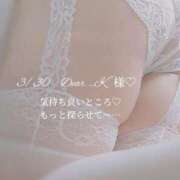 ヒメ日記 2026/04/15 07:42 投稿 あんじゅ 香川高松ちゃんこ