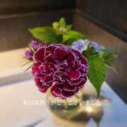 ヒメ日記 2026/04/18 20:49 投稿 あんじゅ 香川高松ちゃんこ