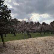 ヒメ日記 2026/03/04 17:14 投稿 ななえ ハピネス水戸