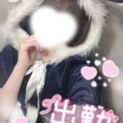 ヒメ日記 2025/12/20 12:22 投稿 のあ カルテDayShift（新宿）