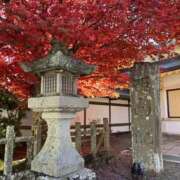 みさき 本日は… みこすり半道場 大阪店