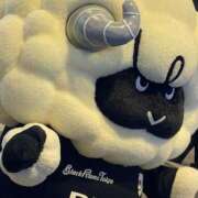 ヒメ日記 2025/12/12 14:19 投稿 まゆか with SPA (ウィズスパ)