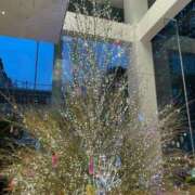 ヒメ日記 2025/12/22 21:48 投稿 まゆか with SPA (ウィズスパ)