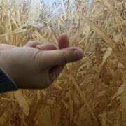 ヒメ日記 2025/11/26 12:53 投稿 ゆう 柏人妻花壇