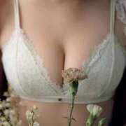 ヒメ日記 2025/12/20 08:18 投稿 美沙(みさ) グランドオペラ横浜