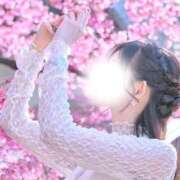 ヒメ日記 2026/04/08 11:31 投稿 美沙(みさ) グランドオペラ横浜