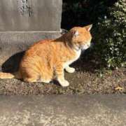 ヒメ日記 2026/01/06 13:43 投稿 もか TOKYO BUNNYS CLUB