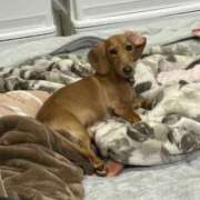 ヒメ日記 2026/03/11 14:13 投稿 もか TOKYO BUNNYS CLUB