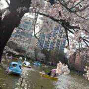 ヒメ日記 2026/03/31 13:33 投稿 もか TOKYO BUNNYS CLUB