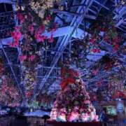 ヒメ日記 2026/02/17 09:50 投稿 きほ★人妻KISS★ 人妻kiss