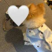 ヒメ日記 2025/12/17 21:02 投稿 りむ ZERO