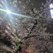 ヒメ日記 2026/03/28 22:52 投稿 真島 誘惑マル秘ミセス