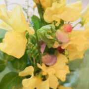 ヒメ日記 2026/02/01 07:58 投稿 けいこ 奥鉄オクテツ神奈川店（デリヘル市場グループ）