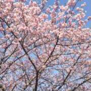 ヒメ日記 2026/02/09 17:38 投稿 けいこ 奥鉄オクテツ神奈川店（デリヘル市場グループ）