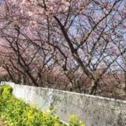 ヒメ日記 2026/02/09 17:40 投稿 けいこ 奥鉄オクテツ神奈川店（デリヘル市場グループ）