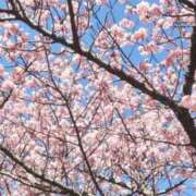 ヒメ日記 2026/03/01 07:58 投稿 けいこ 奥鉄オクテツ神奈川店（デリヘル市場グループ）