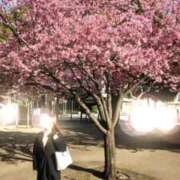 ヒメ日記 2026/03/05 19:38 投稿 けいこ 奥鉄オクテツ神奈川店（デリヘル市場グループ）